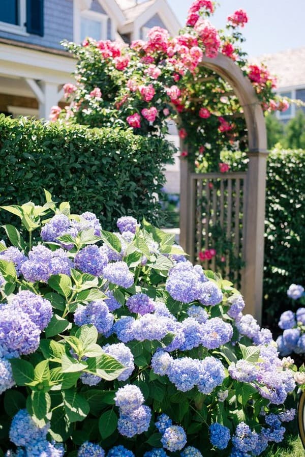 parterres de fleurs de conception de paysage