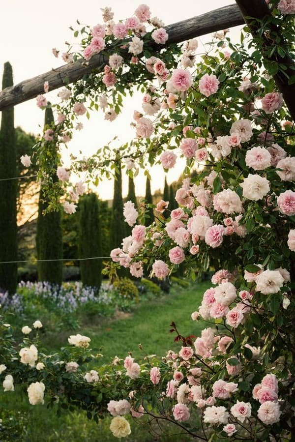 parterres de fleurs de conception de paysage