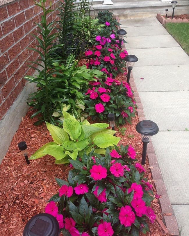 beaux parterres de fleurs