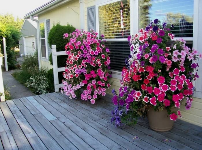 aménagement de la terrasse