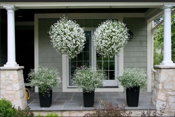 aménagement de la terrasse