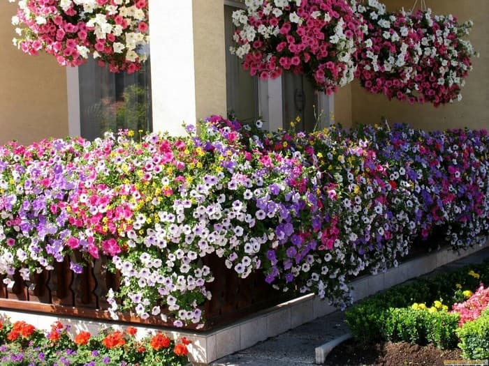 aménagement de la terrasse