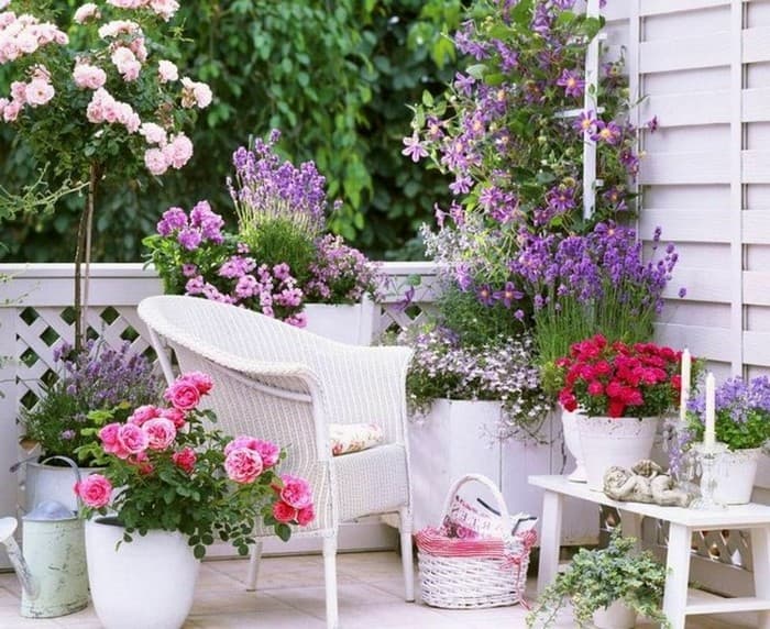 aménagement de la terrasse