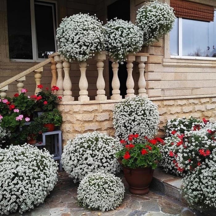 aménagement de la terrasse