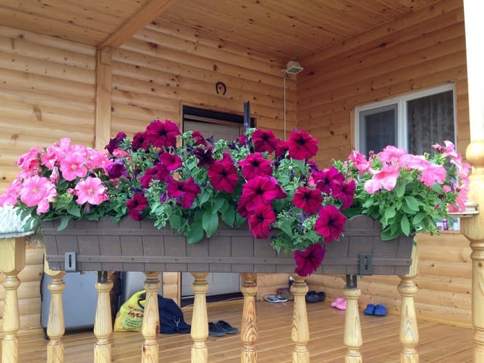 aménagement de la terrasse