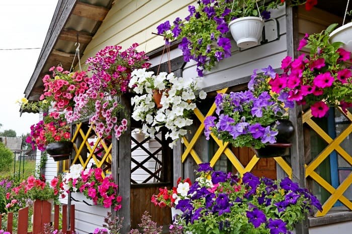 aménagement de la terrasse