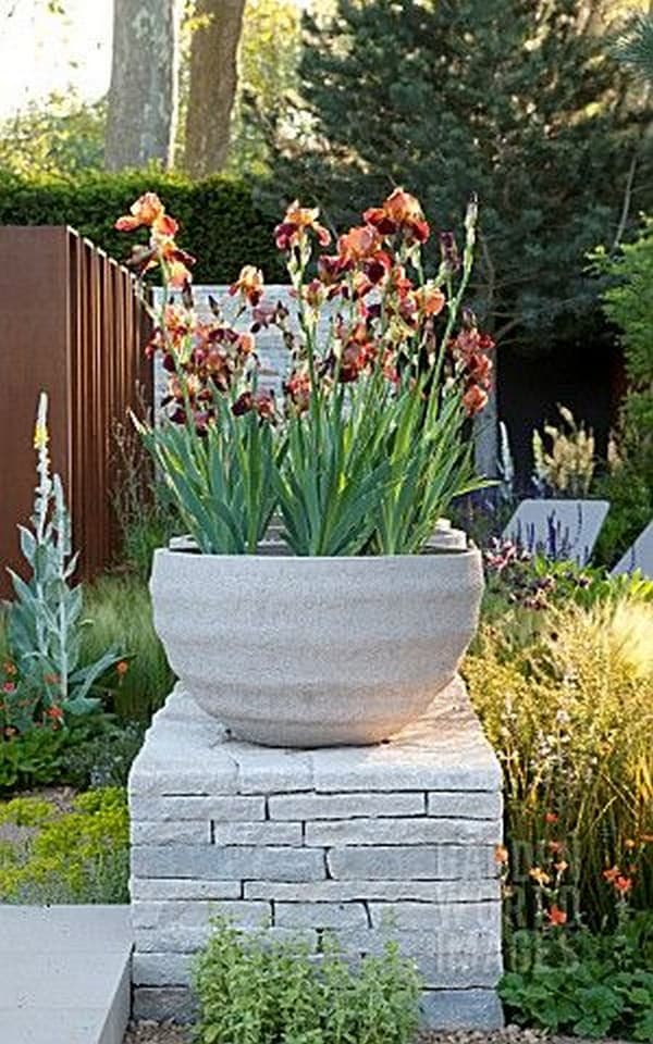 parterres de fleurs originaux