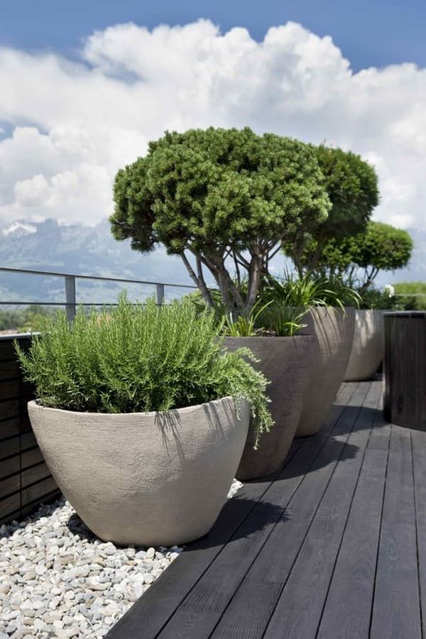 parterres de fleurs originaux