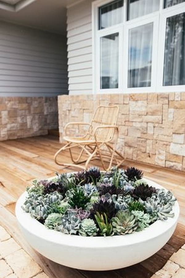 parterres de fleurs originaux