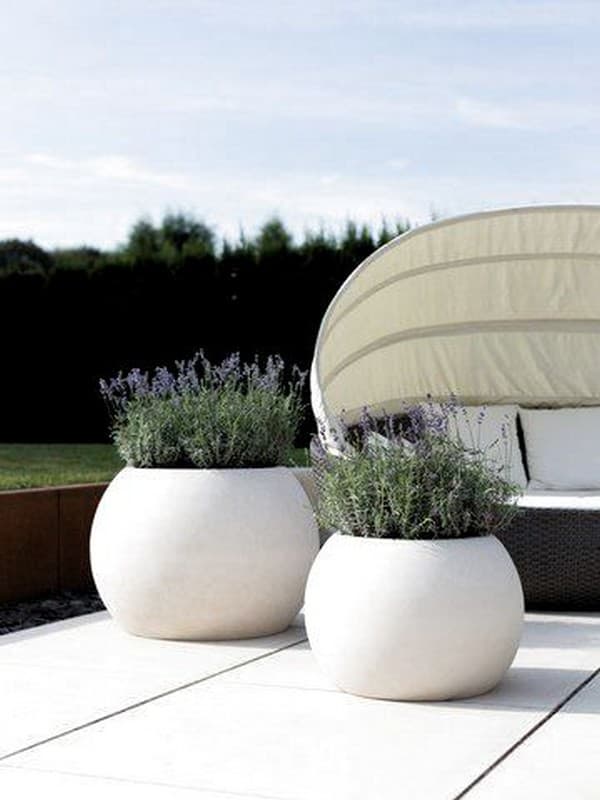 parterres de fleurs originaux