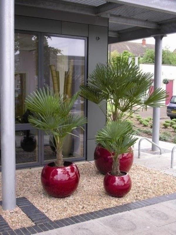 parterres de fleurs originaux