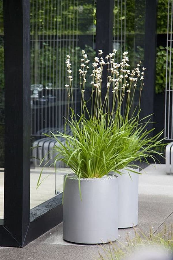 parterres de fleurs originaux