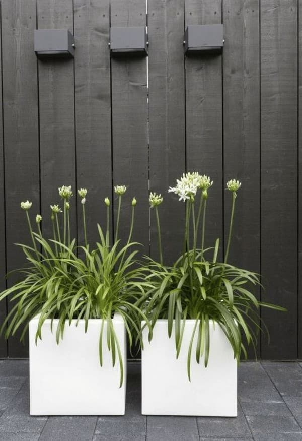 parterres de fleurs originaux