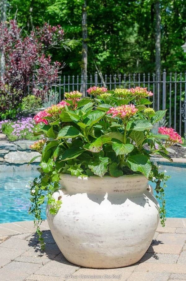 parterres de fleurs originaux