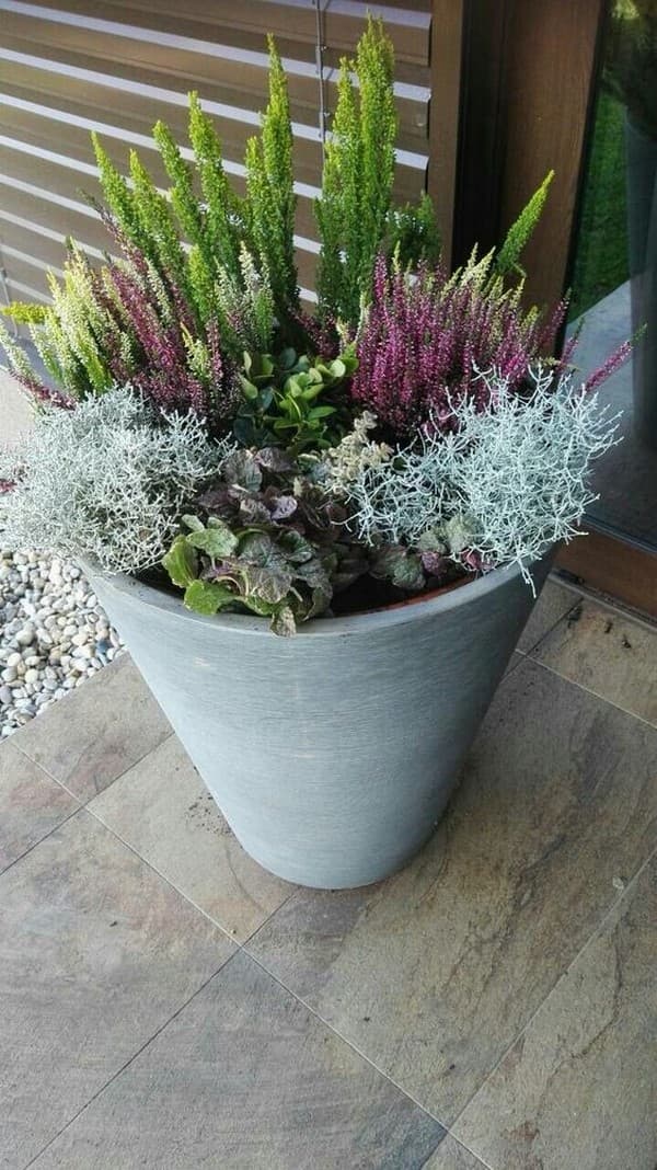 parterres de fleurs originaux