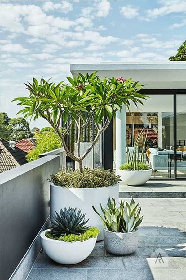 parterres de fleurs originaux