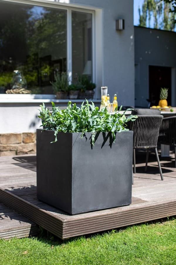 parterres de fleurs originaux