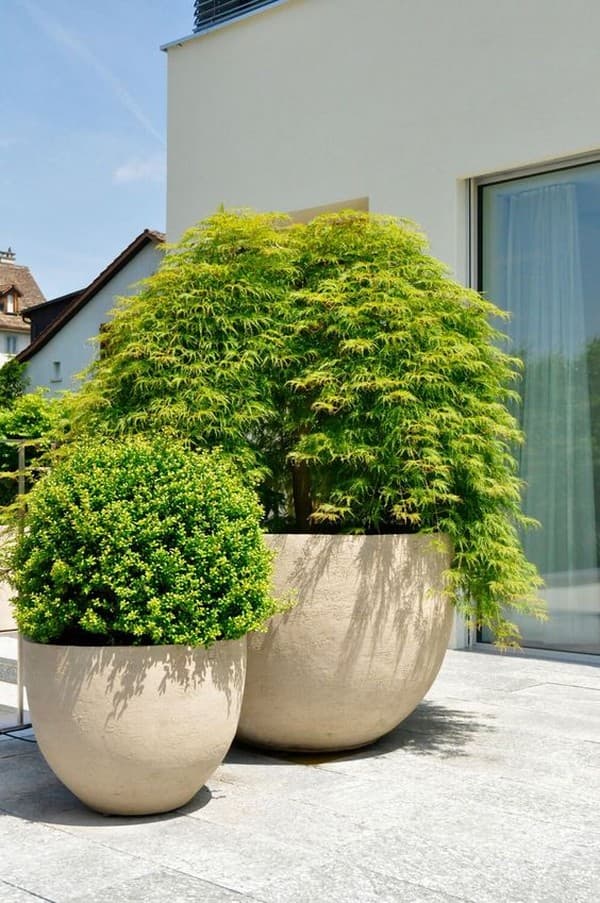 parterres de fleurs originaux