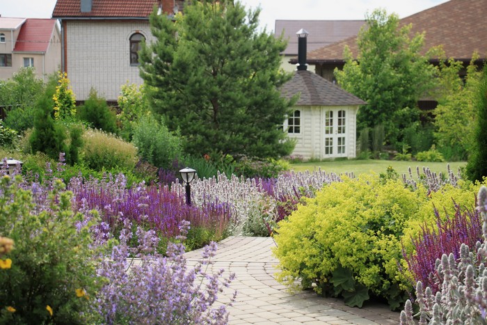 décoration de parterre de fleurs