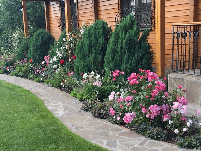 décoration de parterre de fleurs