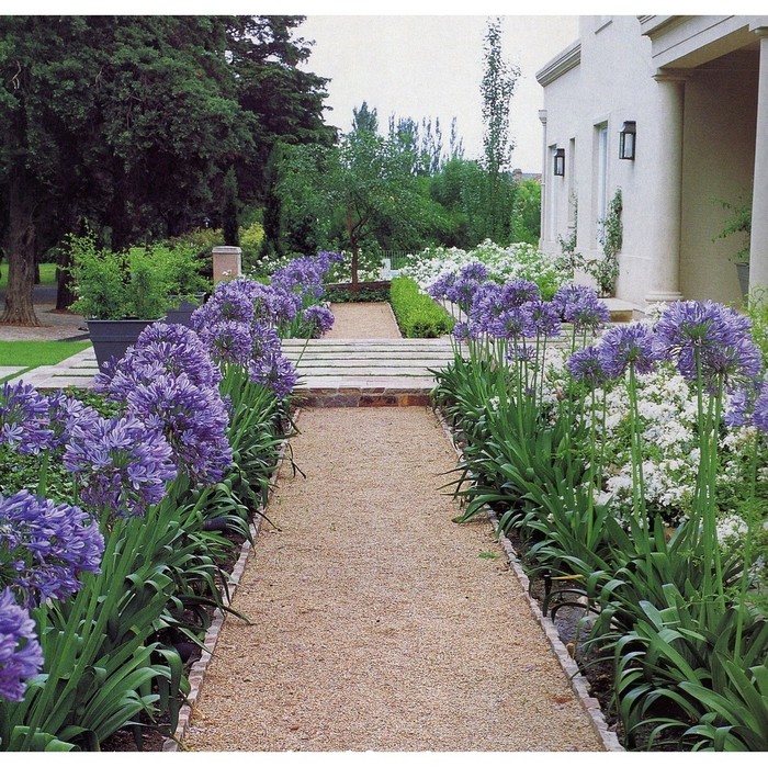 décoration de parterre de fleurs