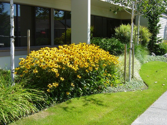 Conception de parterre de fleurs