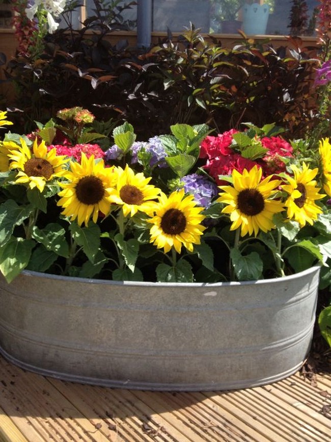 conception de parterre de fleurs