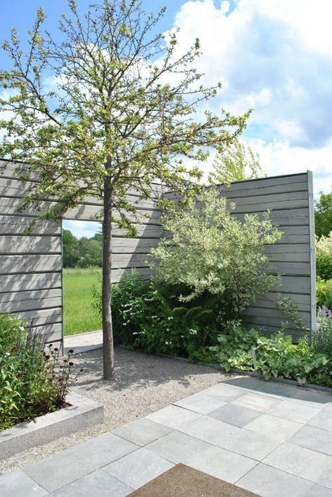 aménagement de la cour