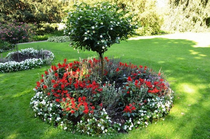 parterres de fleurs de conception de paysage