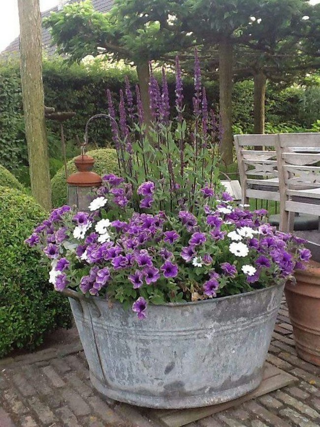 conception de parterres de fleurs dans les plats