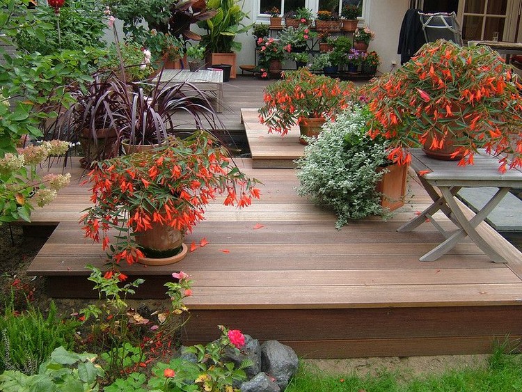 fleurs d'extérieur en pots