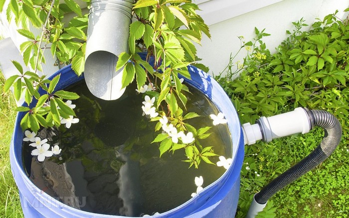 Conteneur pour recueillir l'eau de pluie