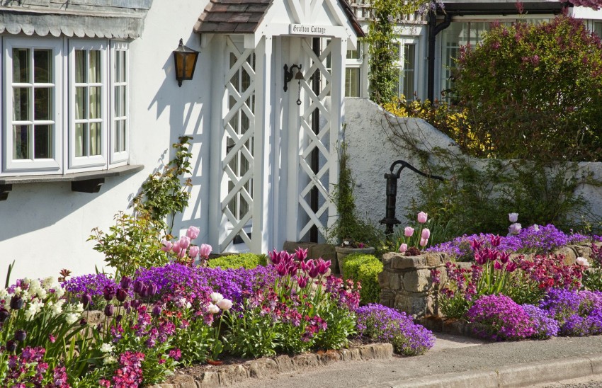 beaux parterres de fleurs