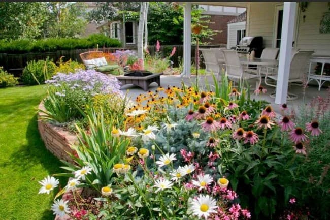 beaux parterres de fleurs