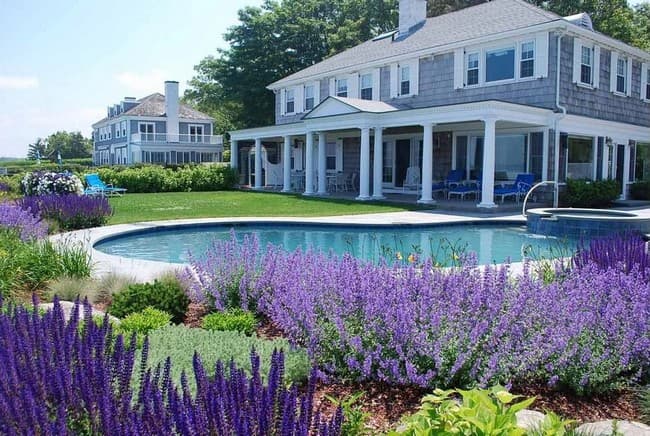 beaux parterres de fleurs