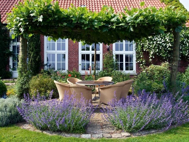 beaux parterres de fleurs