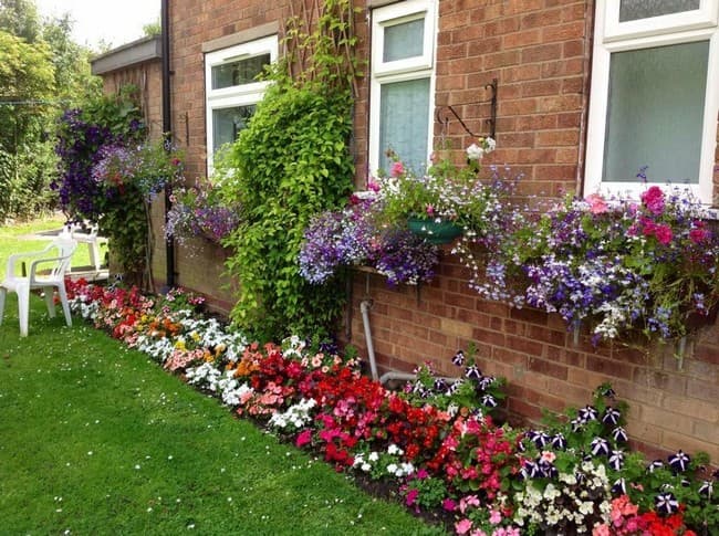 beaux parterres de fleurs