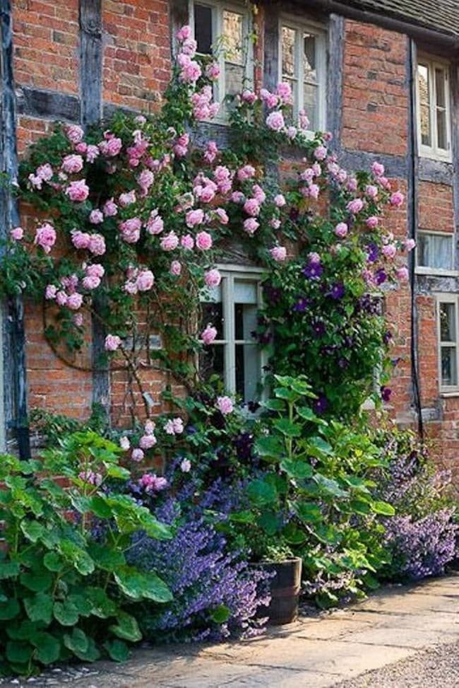 beaux parterres de fleurs