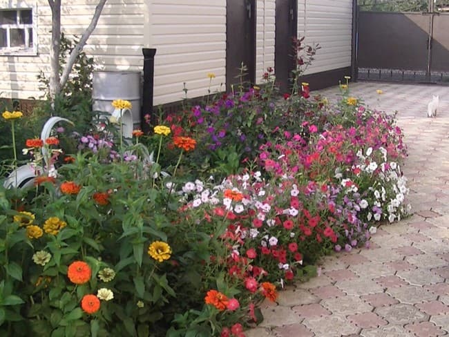 beaux parterres de fleurs