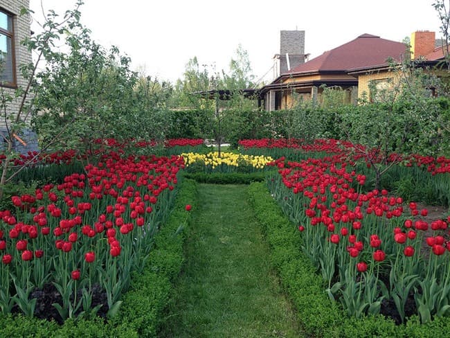 beaux parterres de fleurs