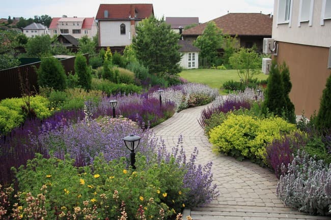 beaux parterres de fleurs