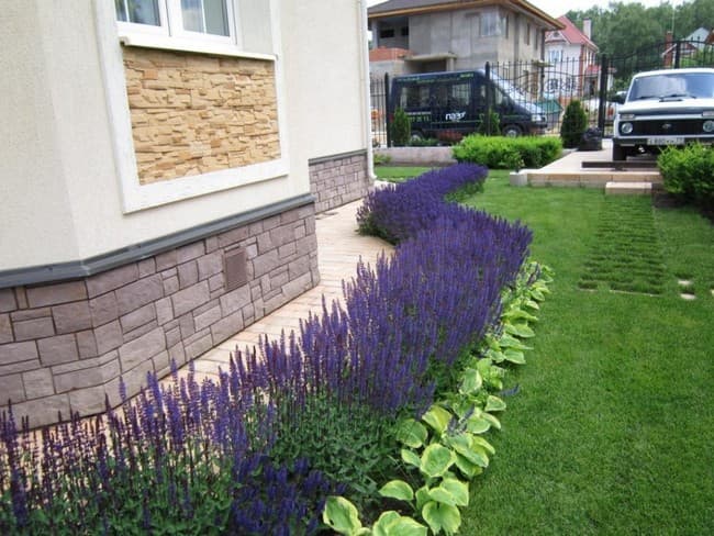 beaux parterres de fleurs