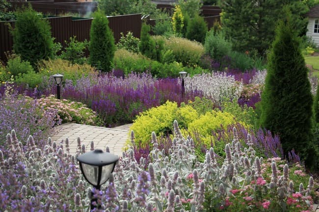 beaux parterres de fleurs