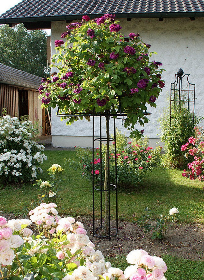 supports de fleurs