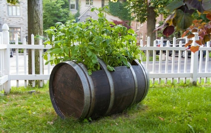 idées pour une résidence d'été et un jardin