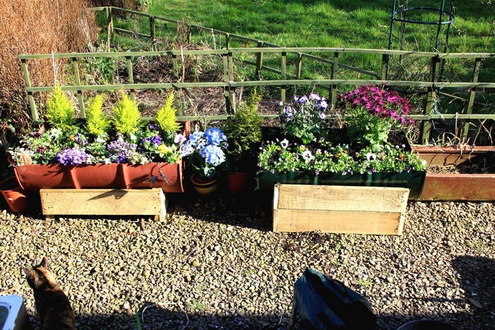 idées pour une résidence d'été et un jardin