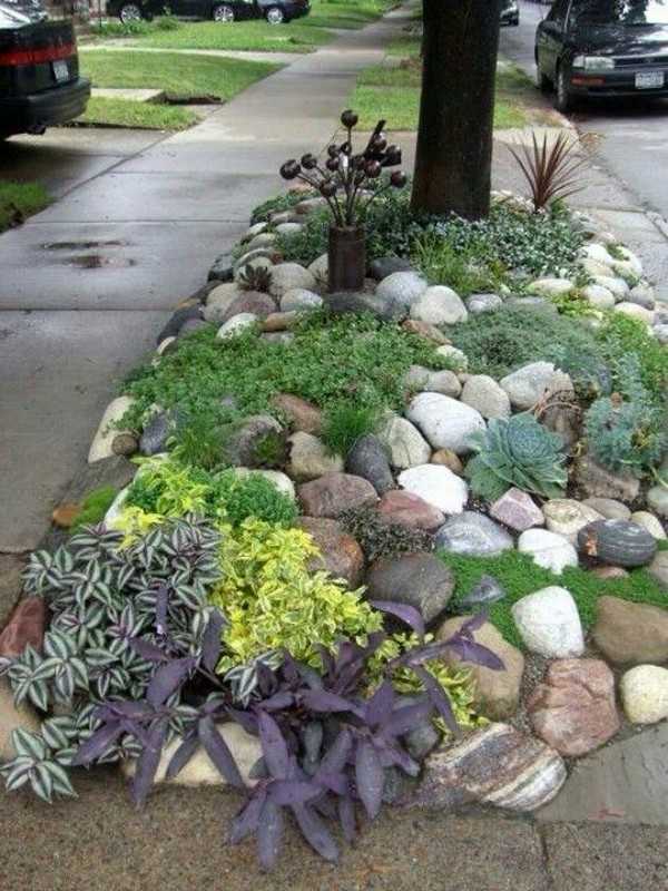 succulentes pour le jardin