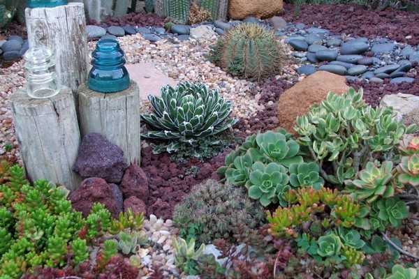 succulentes pour le jardin