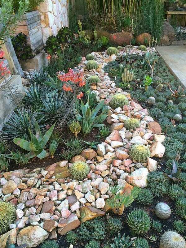 jardin succulent