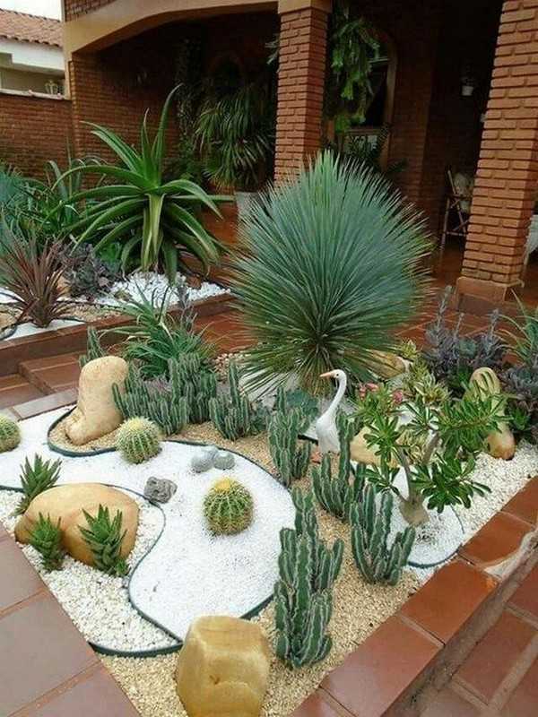jardin succulent